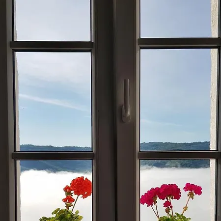 Apartman Apartment Motovun Motovun